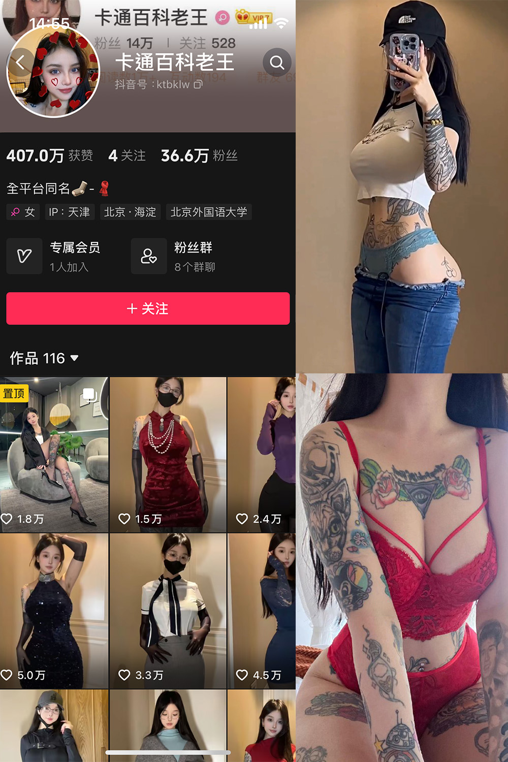 抖音 卡通百科老王 微密圈 NO.001-010期【合集】