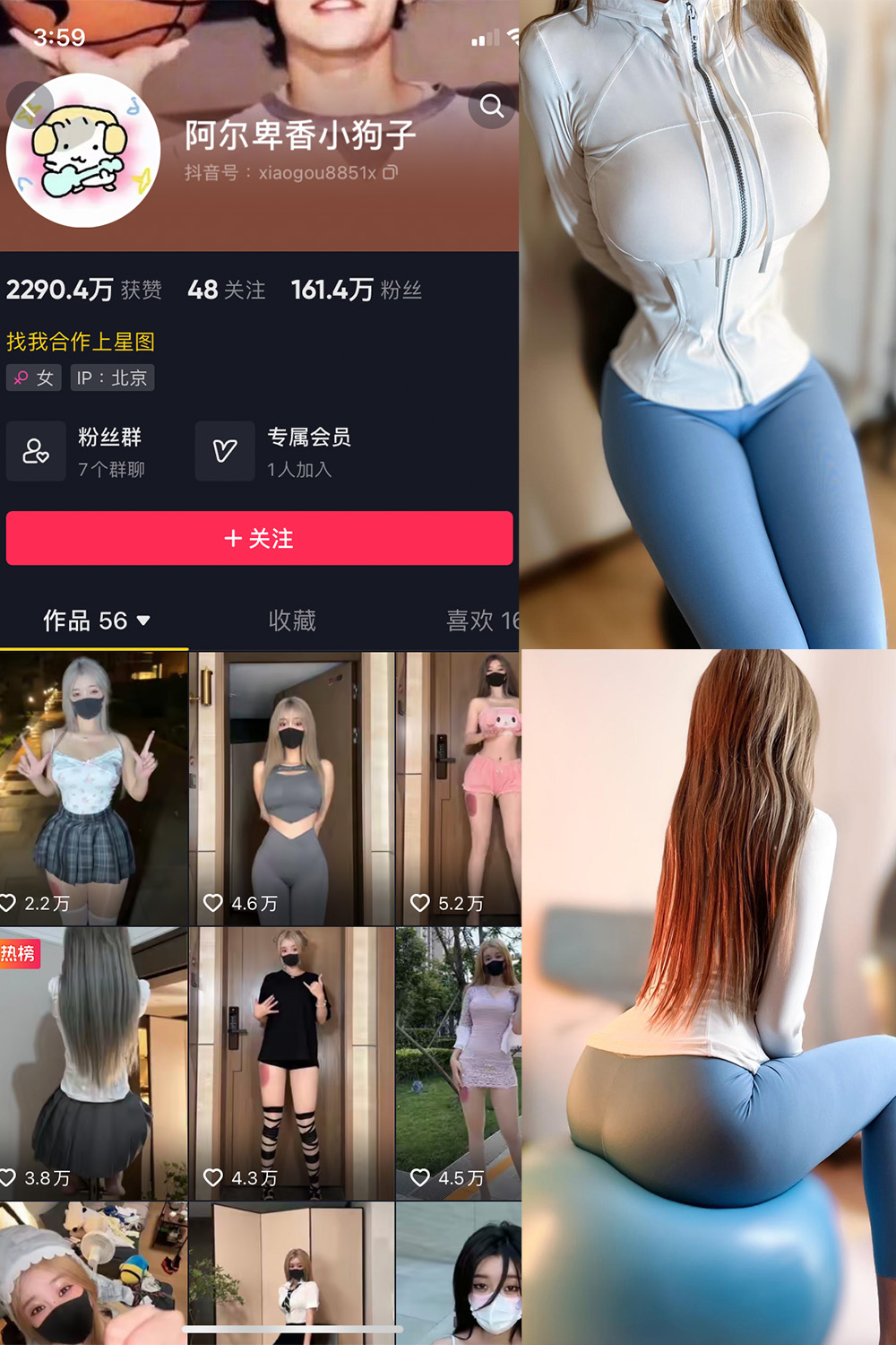 抖音 阿尔卑香小狗子 微密圈 NO.029期 【30P】最新至：