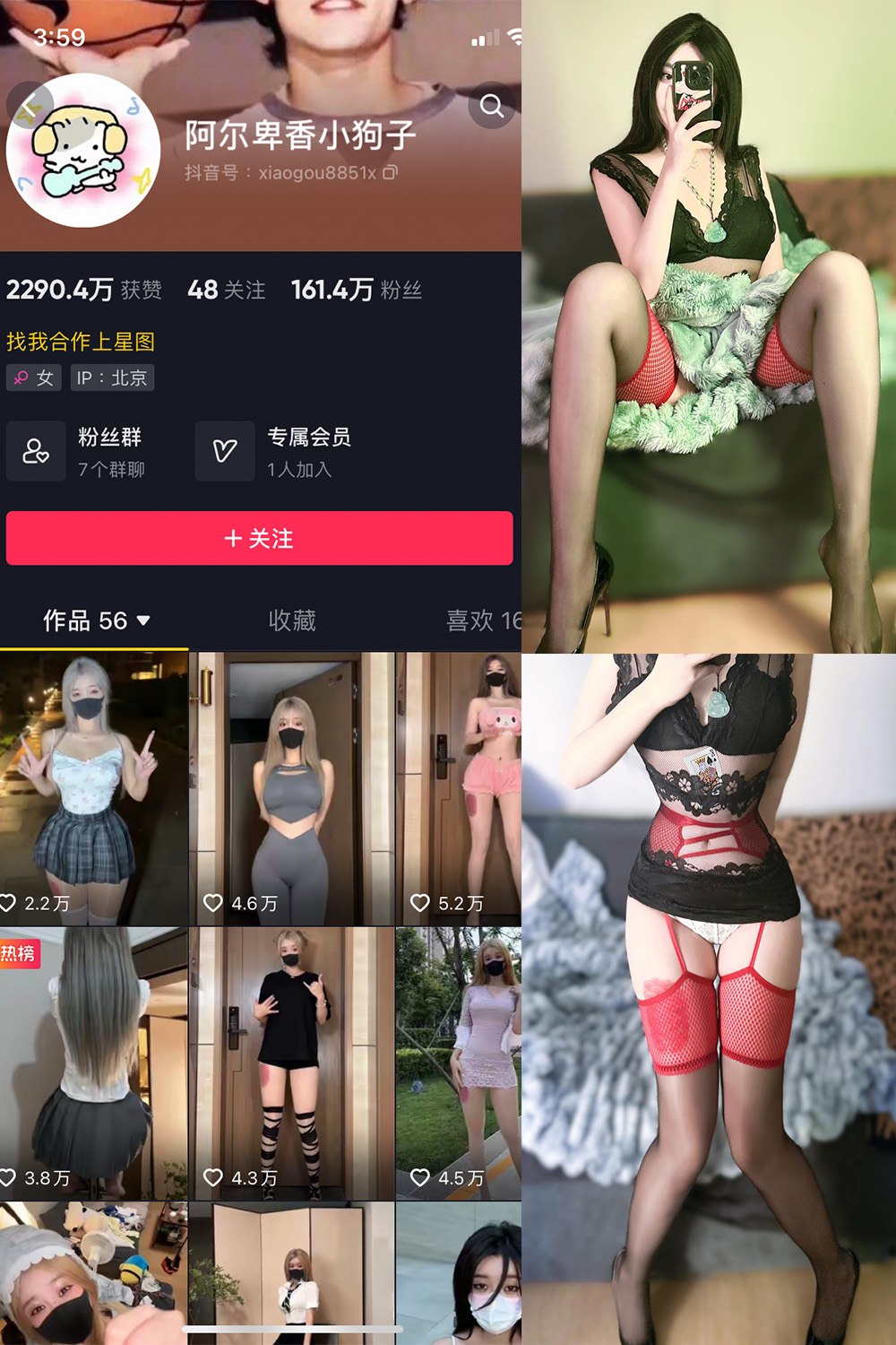 抖音 阿尔卑香小狗子 微密圈 NO.034期 【26P】最新至：