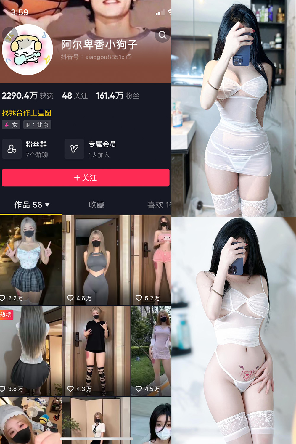 抖音 阿尔卑香小狗子 微密圈 NO.022期 【9P】最新至：
