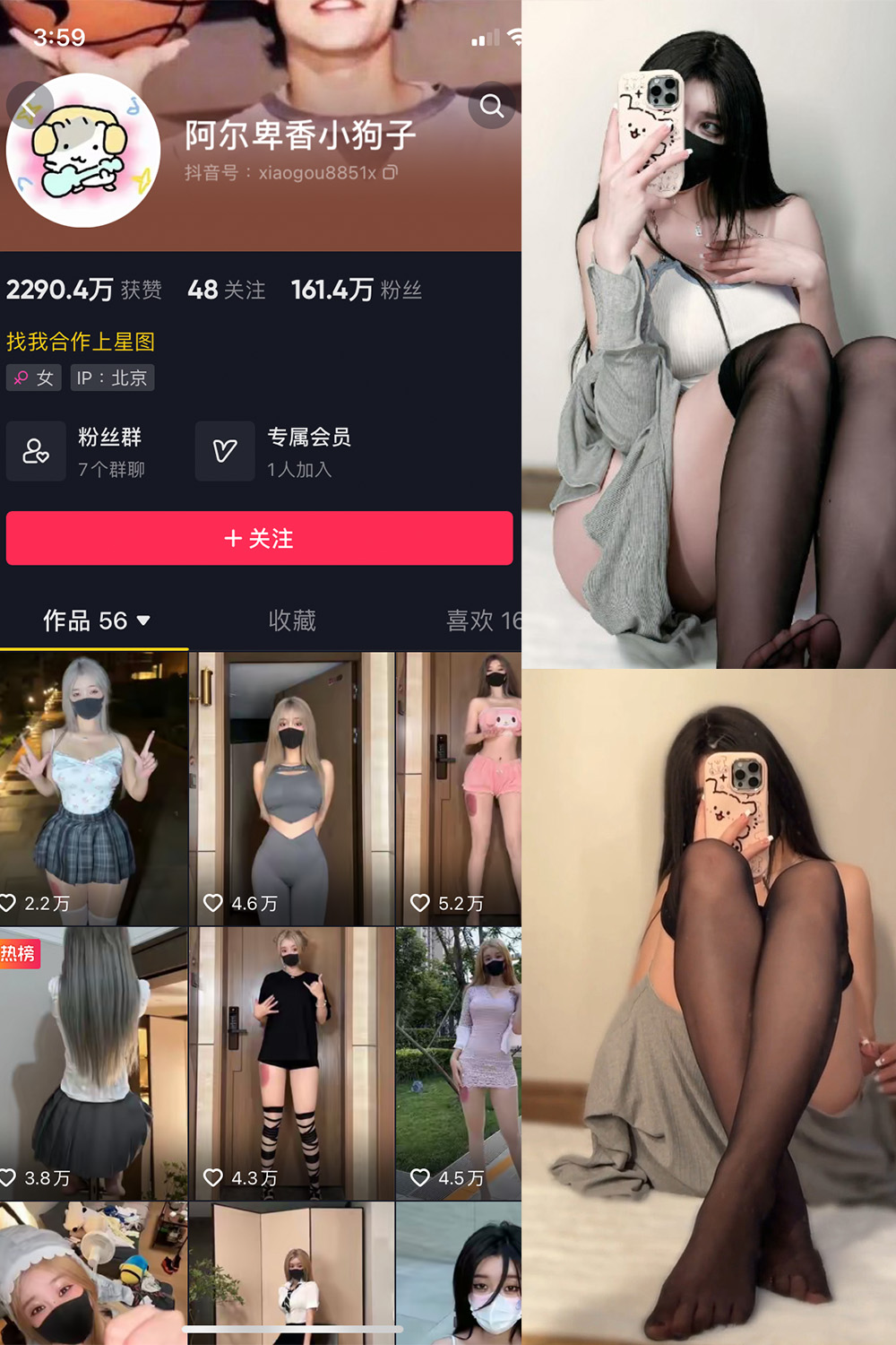 抖音 阿尔卑香小狗子 微密圈 NO.042期 【6P1V】最新至：