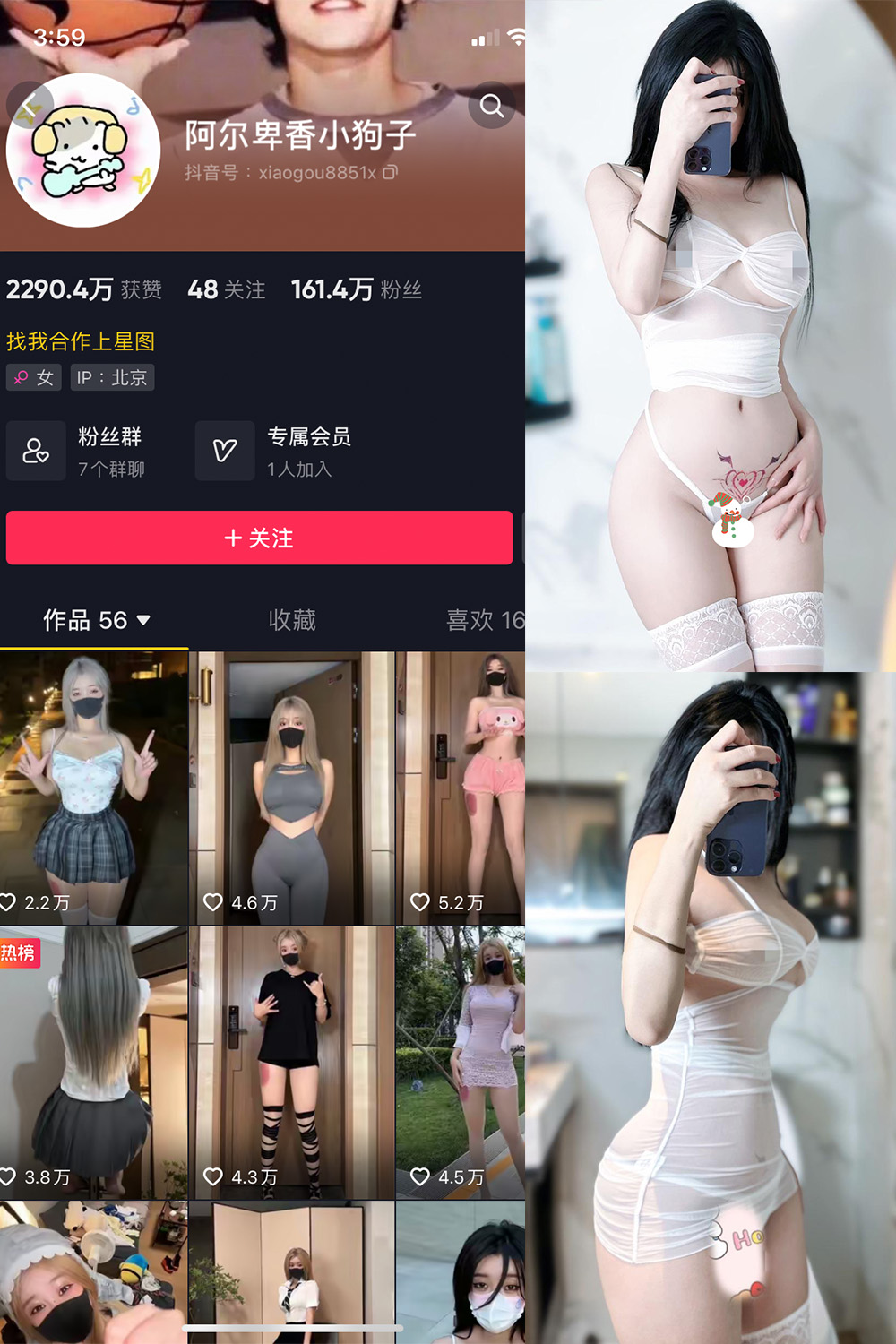 抖音 阿尔卑香小狗子 微密圈 NO.051期 【33P】最新至：2024.6.30
