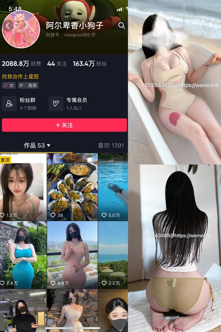 抖音 阿尔卑香小狗子 微密圈 NO.013期 【46P】最新至:2023.7.31