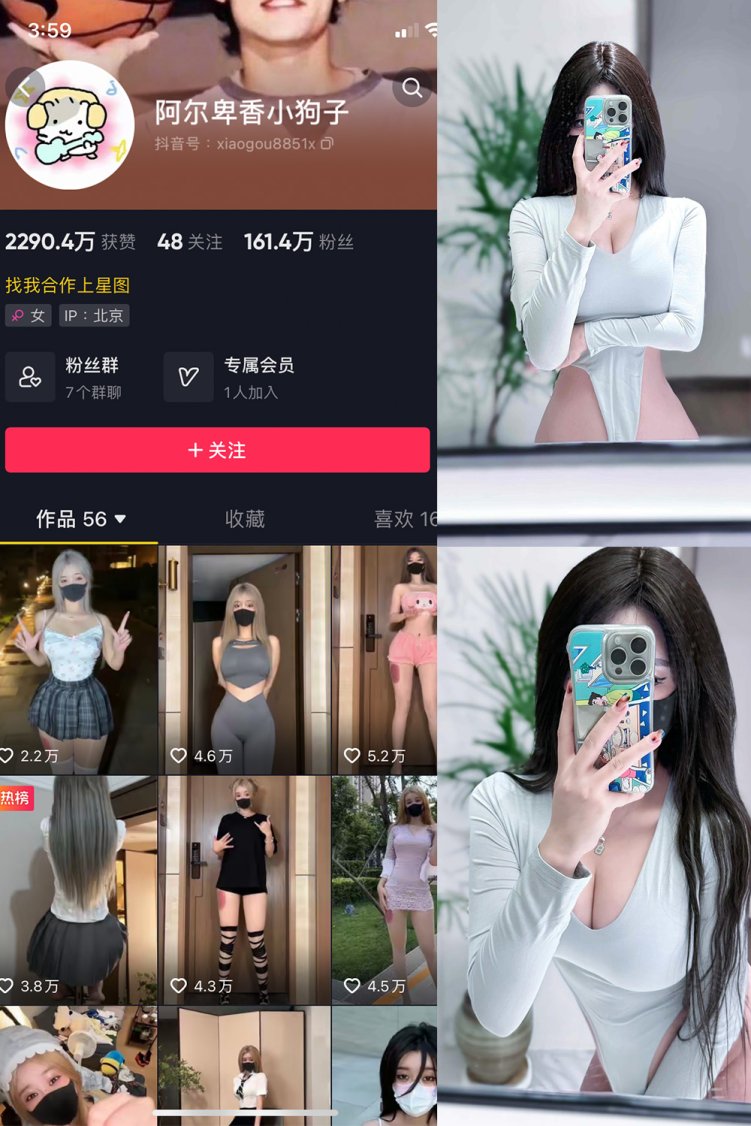 抖音 阿尔卑香小狗子 微密圈 NO.041期 【10P2V】最新至: