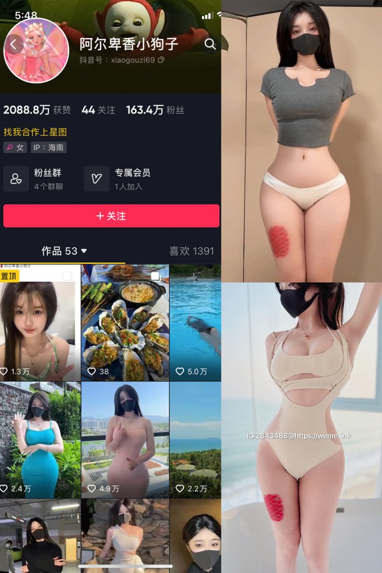 抖音 阿尔卑香小狗子 微密圈 NO.012期 【7P1V】最新至: