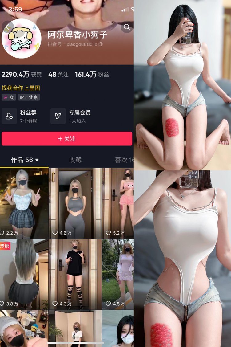 抖音 阿尔卑香小狗子 微密圈 NO.020期 【17P】最新至: