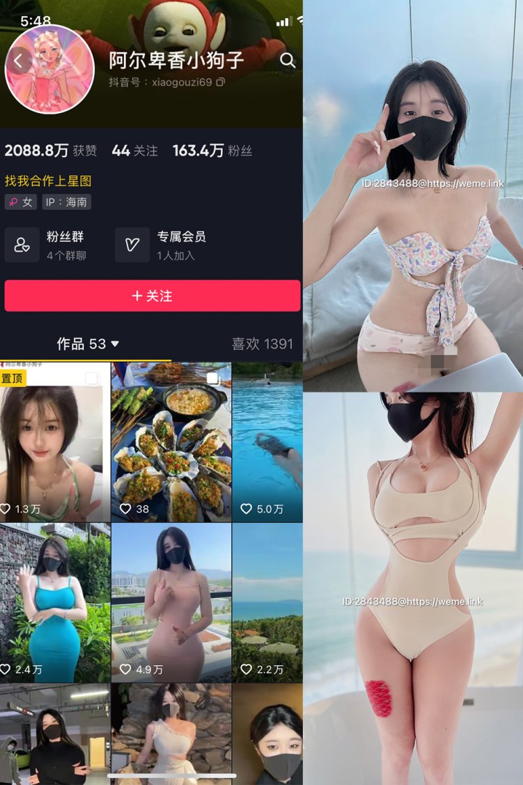 抖音 阿尔卑香小狗子 微密圈 NO.003期 【39P3V】