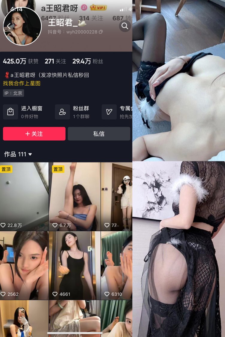 抖音 王昭君 微密圈 NO.005期 【20P】