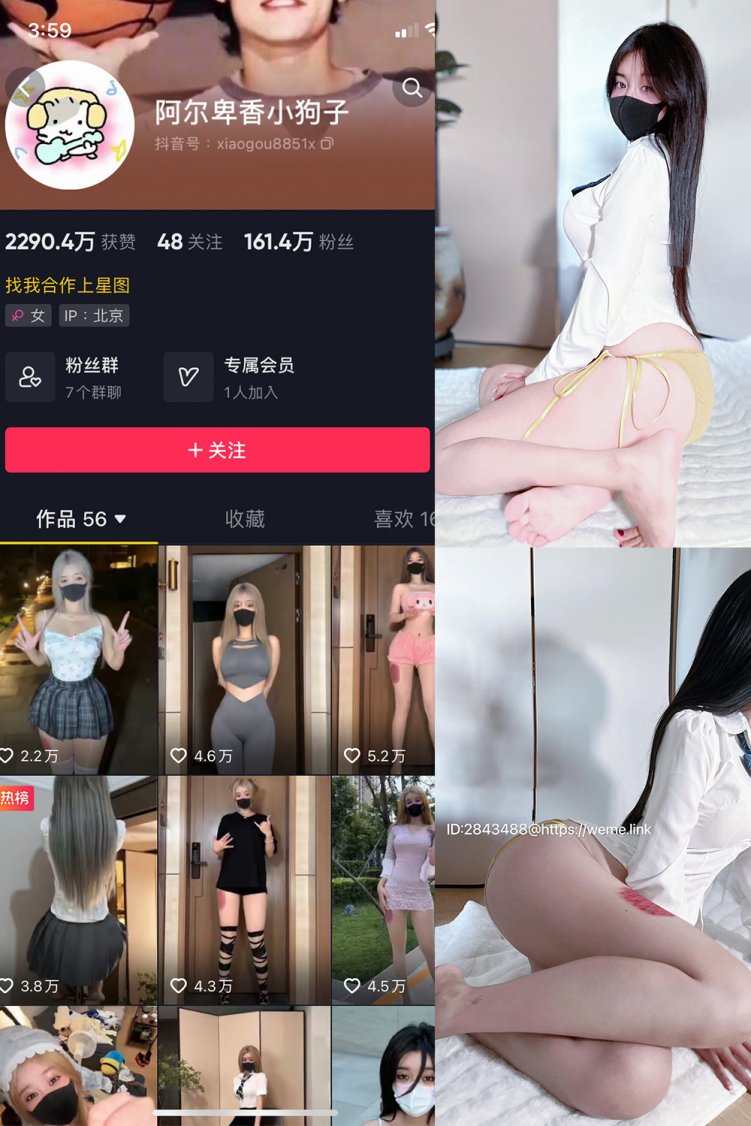 抖音 阿尔卑香小狗子 微密圈 NO.015期 【69P】