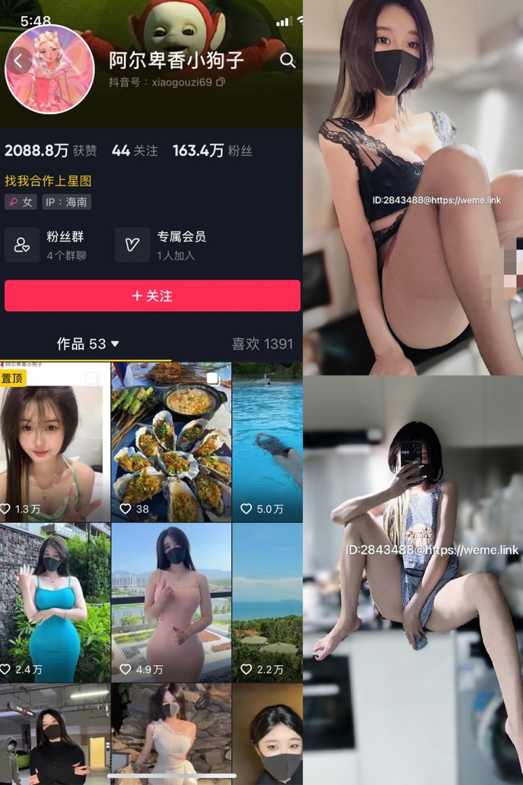 抖音 阿尔卑香小狗子 微密圈 NO.008期 【14P】最新至：