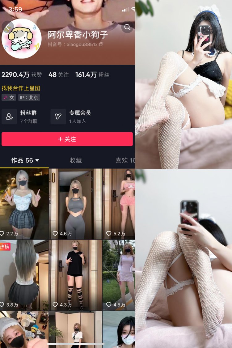 抖音 阿尔卑香小狗子 微密圈 NO.033期 【19P】最新至: