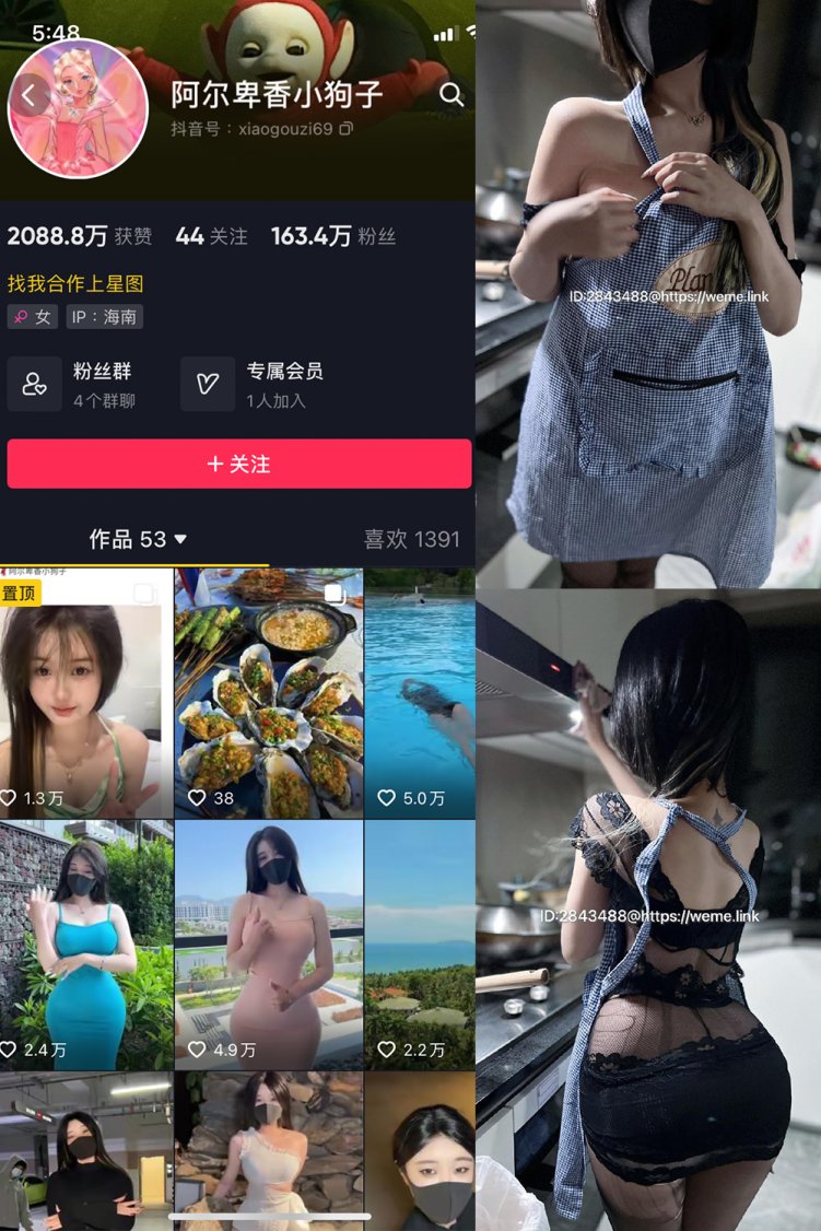 抖音 阿尔卑香小狗子 微密圈 NO.009期 【37P】最新至：