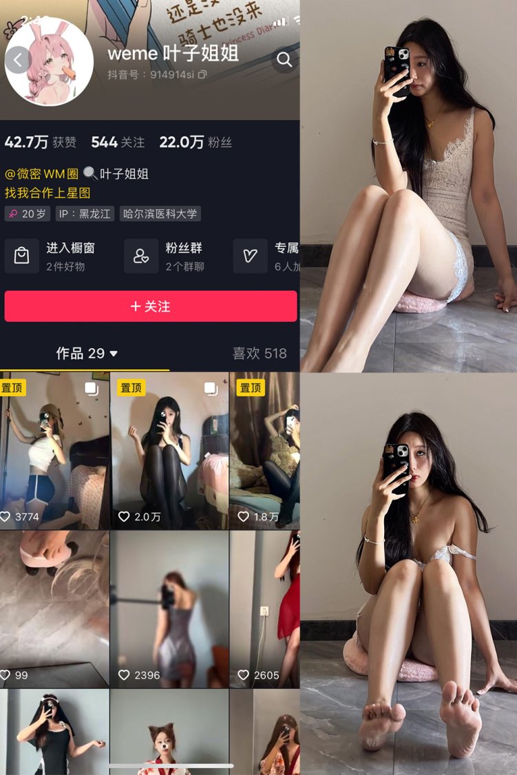 抖音 叶子姐姐 微密圈 NO.022期 【17P9V】最新至:2023.10.18