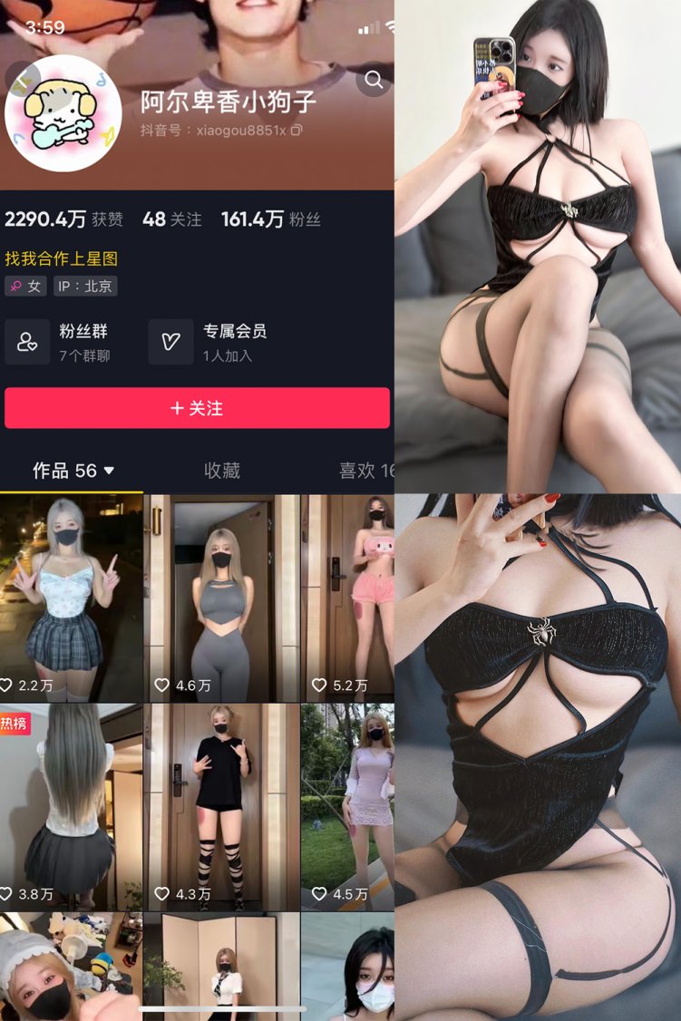 抖音 阿尔卑香小狗子 微密圈 NO.019期 【14P1V】最新至: