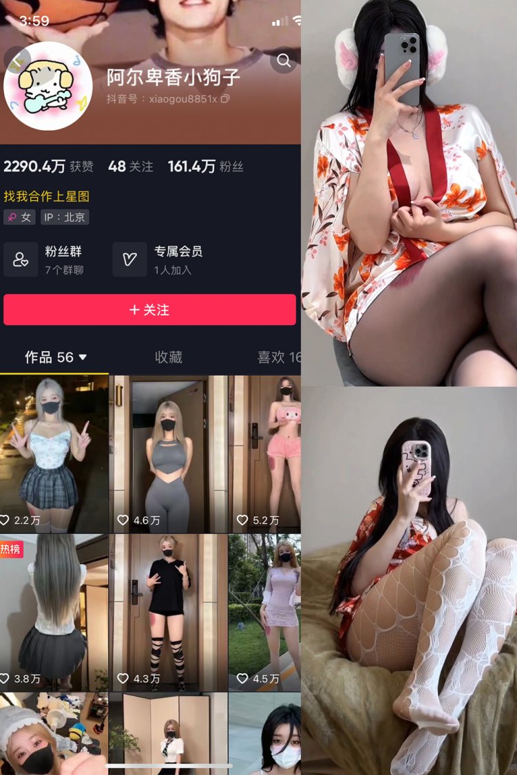 抖音 阿尔卑香小狗子 微密圈 NO.044期 【16P5V】最新至: