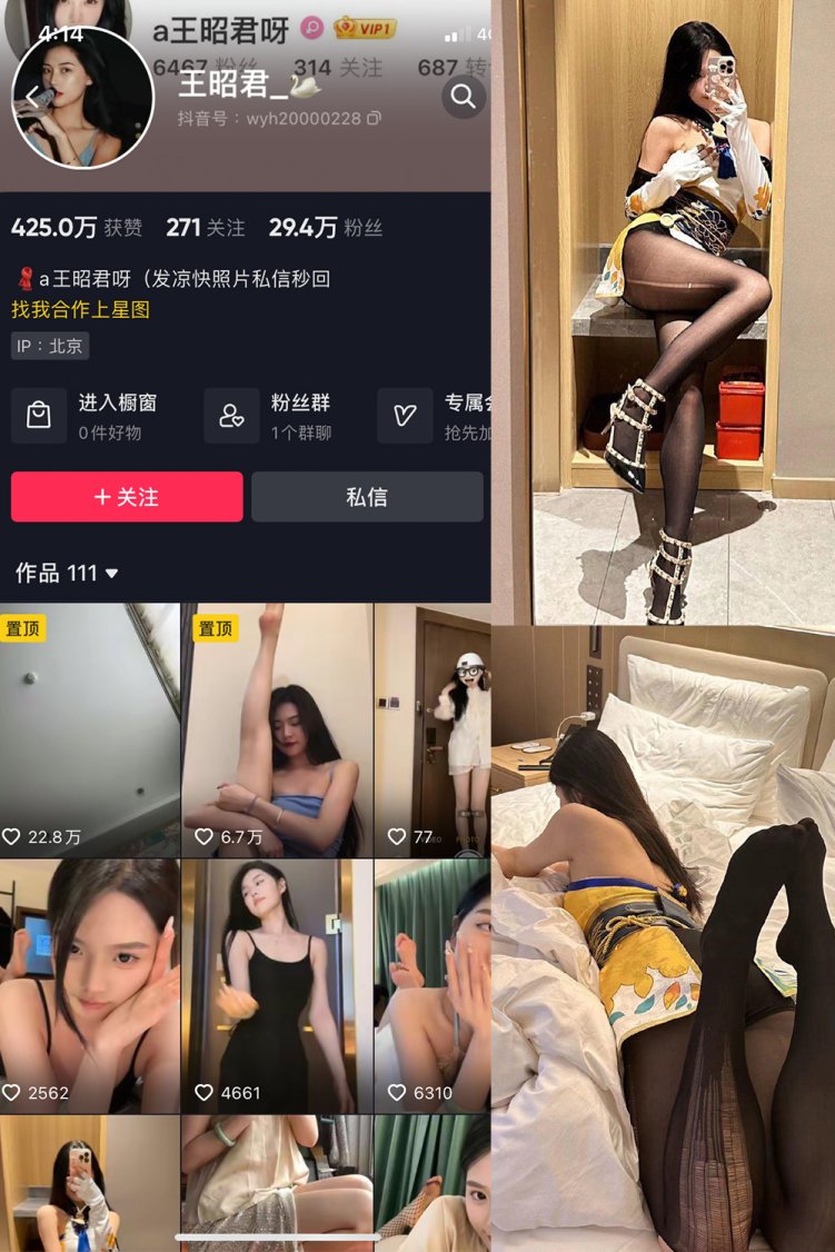 抖音 王昭君 微密圈 NO.002期 【14P15V】