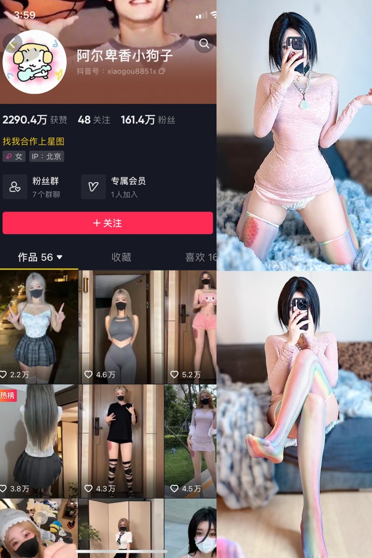 抖音 阿尔卑香小狗子 微密圈 NO.035期 【16P】最新至: