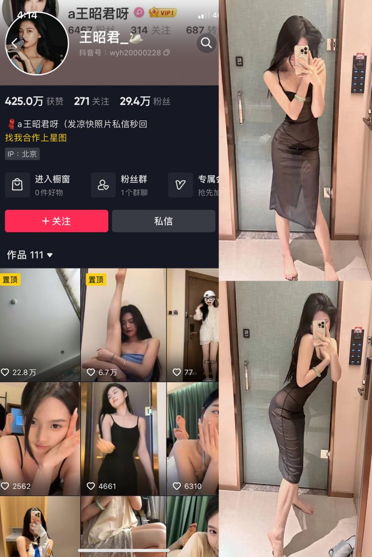 抖音 王昭君 微密圈 NO.004期 【10P1V】最新至:2023.5.22