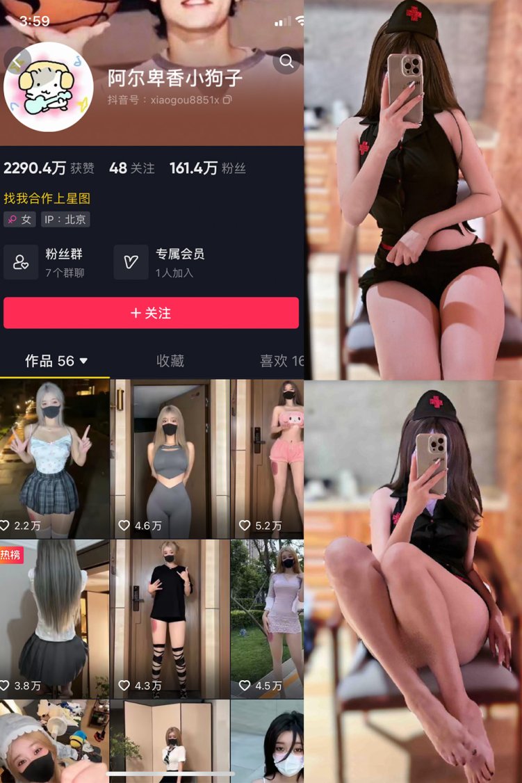 抖音 阿尔卑香小狗子 微密圈 NO.040期 【12P】最新至: