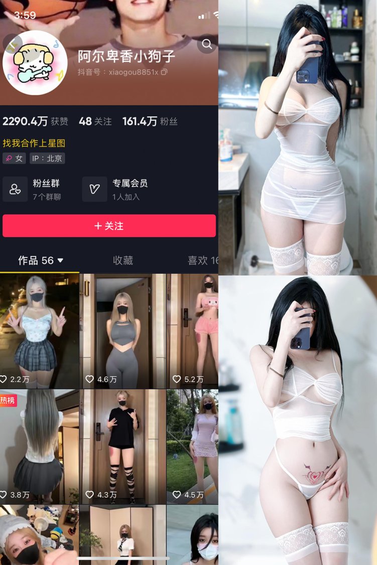 抖音 阿尔卑香小狗子 微密圈 NO.022期 【9P】最新至: