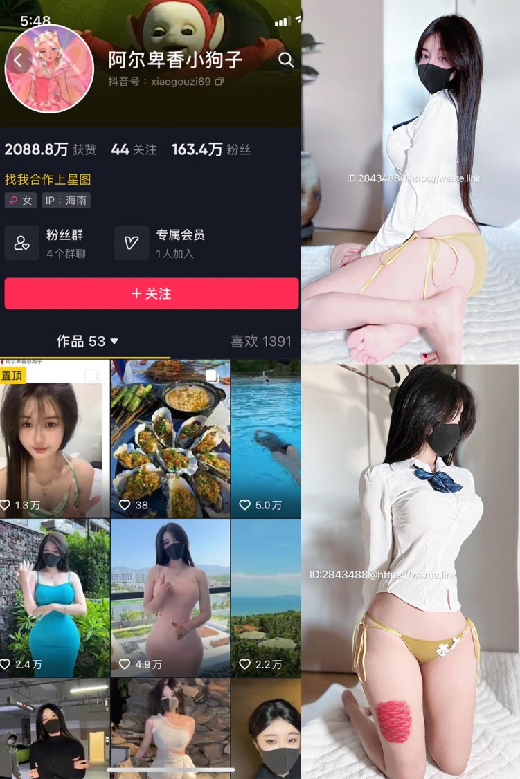 抖音 阿尔卑香小狗子 微密圈 NO.010期 【39P】