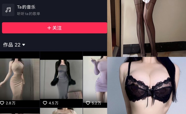 抖音 瀛猫 微密圈 NO.041期 【9P2V】最新至:2024.4.3