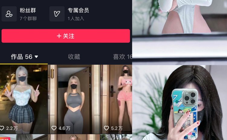 抖音 阿尔卑香小狗子 微密圈 NO.041期 【10P2V】最新至：