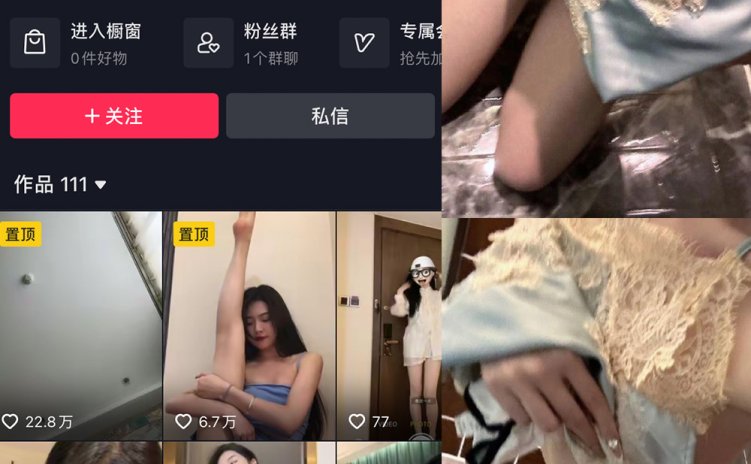 抖音 王昭君 微密圈 NO.006期 【13P7V】