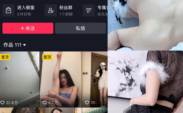 抖音 王昭君 微密圈 NO.005期 【20P】