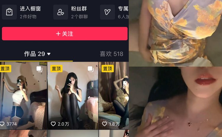 抖音 叶子姐姐 微密圈 NO.016期 【2V】最新至：2023.6.17