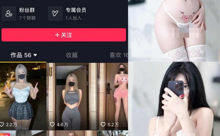 抖音 阿尔卑香小狗子 微密圈 NO.043期 【18P1V】最新至：