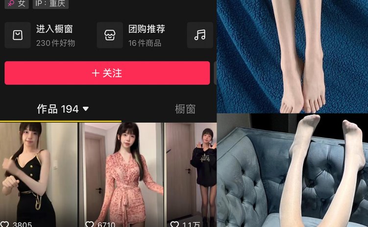 抖音 狗尾巴叶 微密圈 NO.003期 【37P8V】最新至:2023.12.12