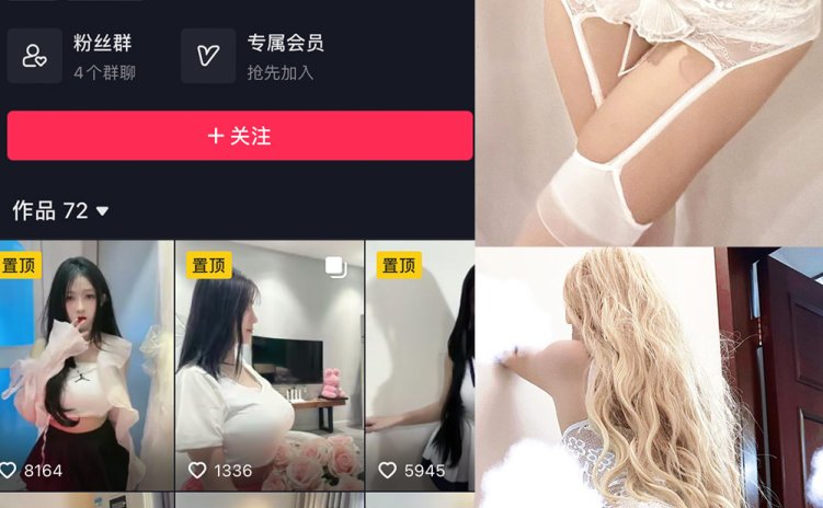 抖音 脑婆睡醒啦 微密圈 NO.009期 【12P14V】最新至：