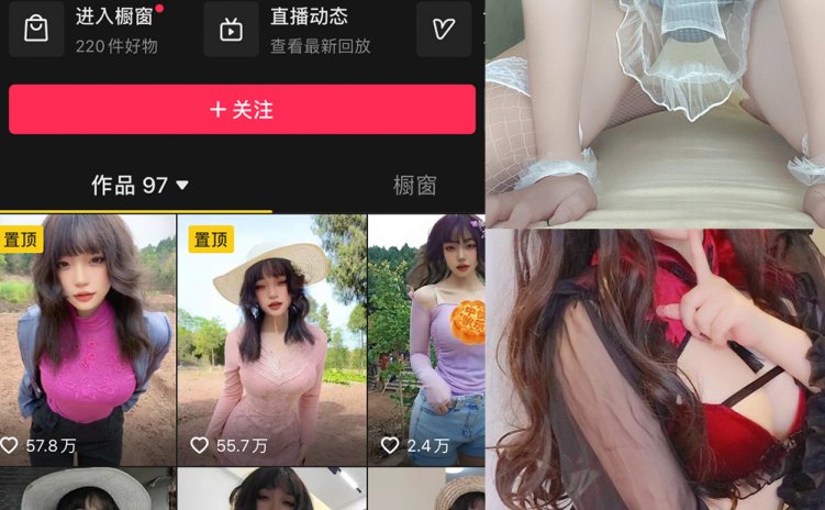 抖音 闰节 微密圈 NO.008期 【19P2V】最新至:2023.12.02