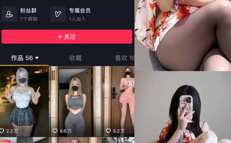 抖音 阿尔卑香小狗子 微密圈 NO.044期 【16P5V】最新至：