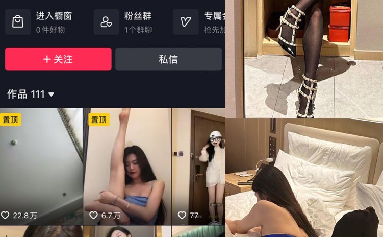 抖音 王昭君 微密圈 NO.002期 【14P15V】