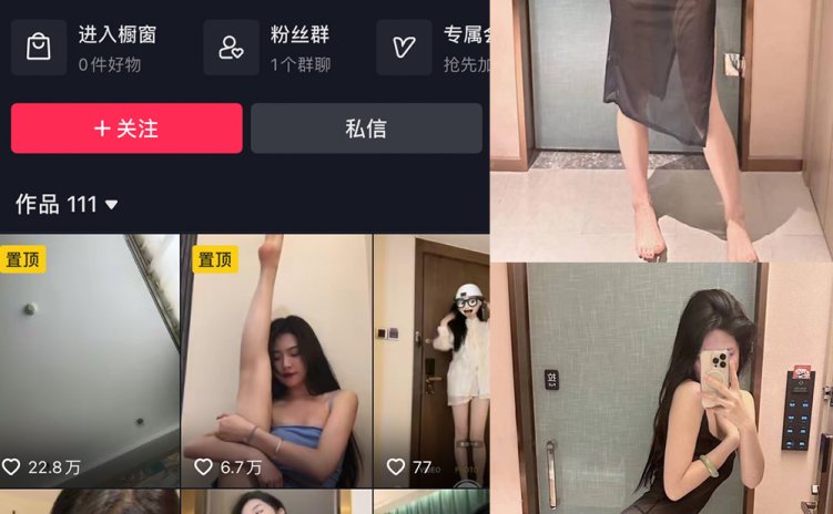 抖音 王昭君 微密圈 NO.004期 【10P1V】最新至:2023.5.22