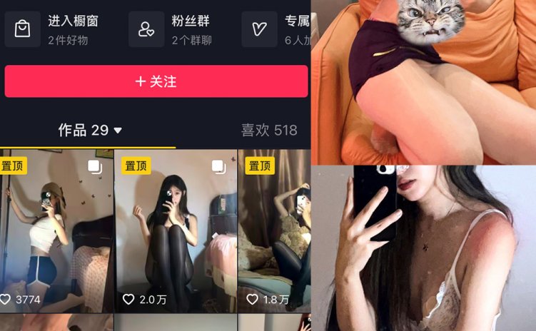 抖音 叶子姐姐 微密圈 NO.005期 【19P9V】