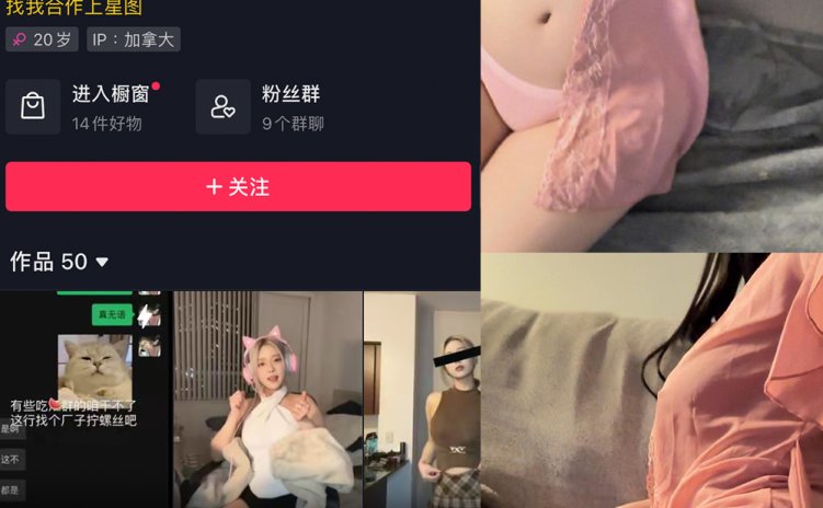 抖音 多肉小野猫 微密圈 NO.047期 【6P7V】最新至:2024.4.6