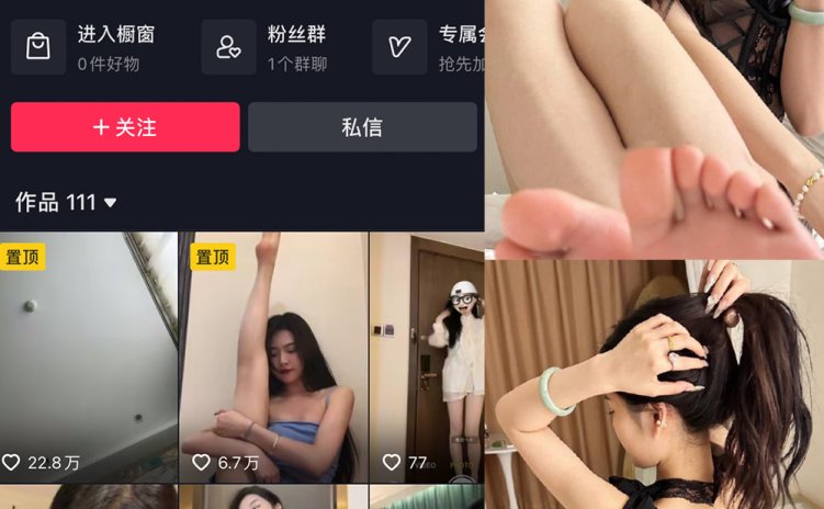 抖音 王昭君 微密圈 NO.001期 【24P5V】