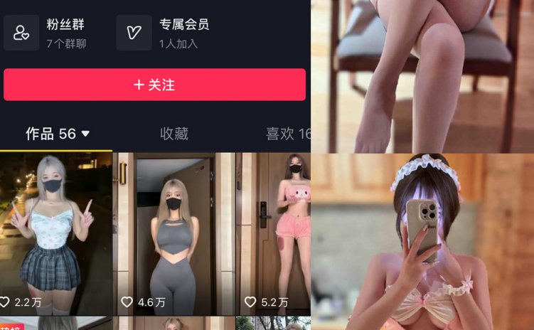 抖音 阿尔卑香小狗子 微密圈 NO.039期 【10P】