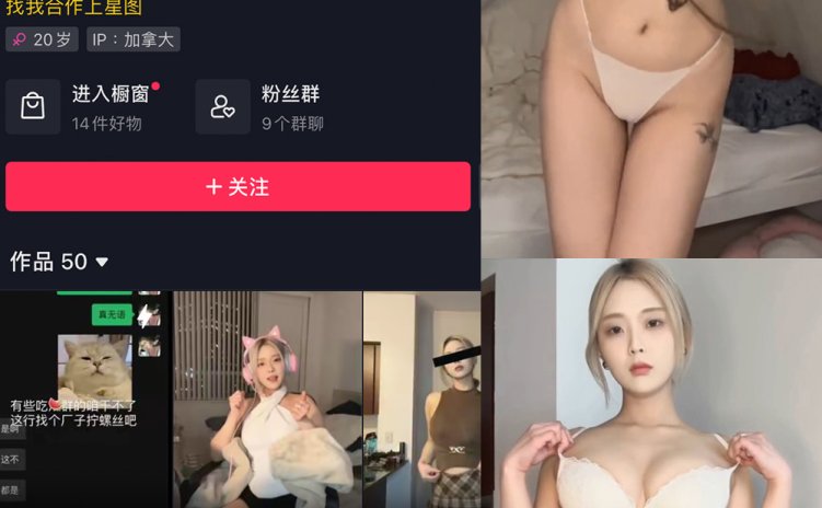 抖音 多肉小野猫 微密圈 视频 NO.050期 【5P36V】最新至: