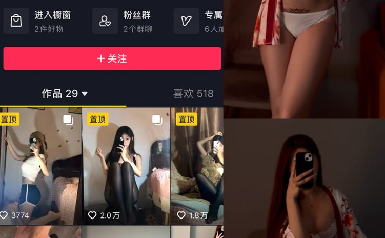 抖音 叶子姐姐 微密圈 NO.011期 【7V】