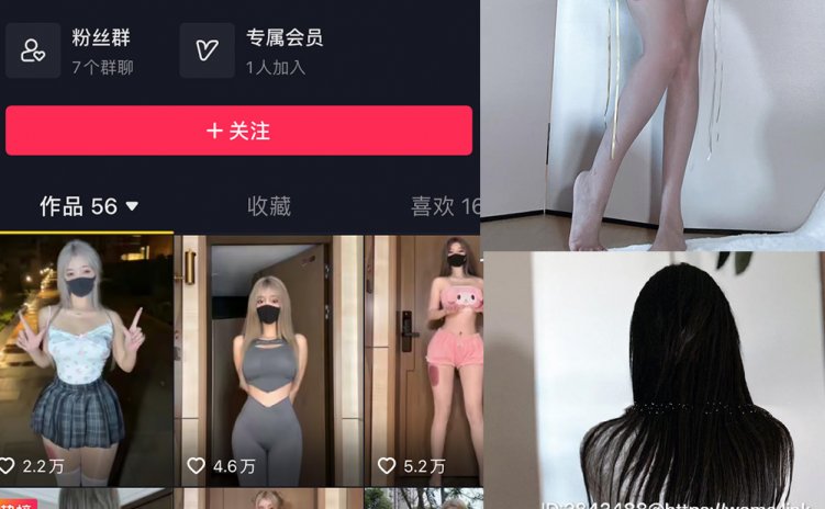 抖音 阿尔卑香小狗子 微密圈 NO.047期 【39P】最新至：2024.6.10