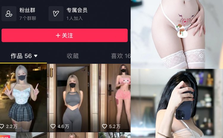 抖音 阿尔卑香小狗子 微密圈 NO.051期 【33P】最新至：2024.6.30