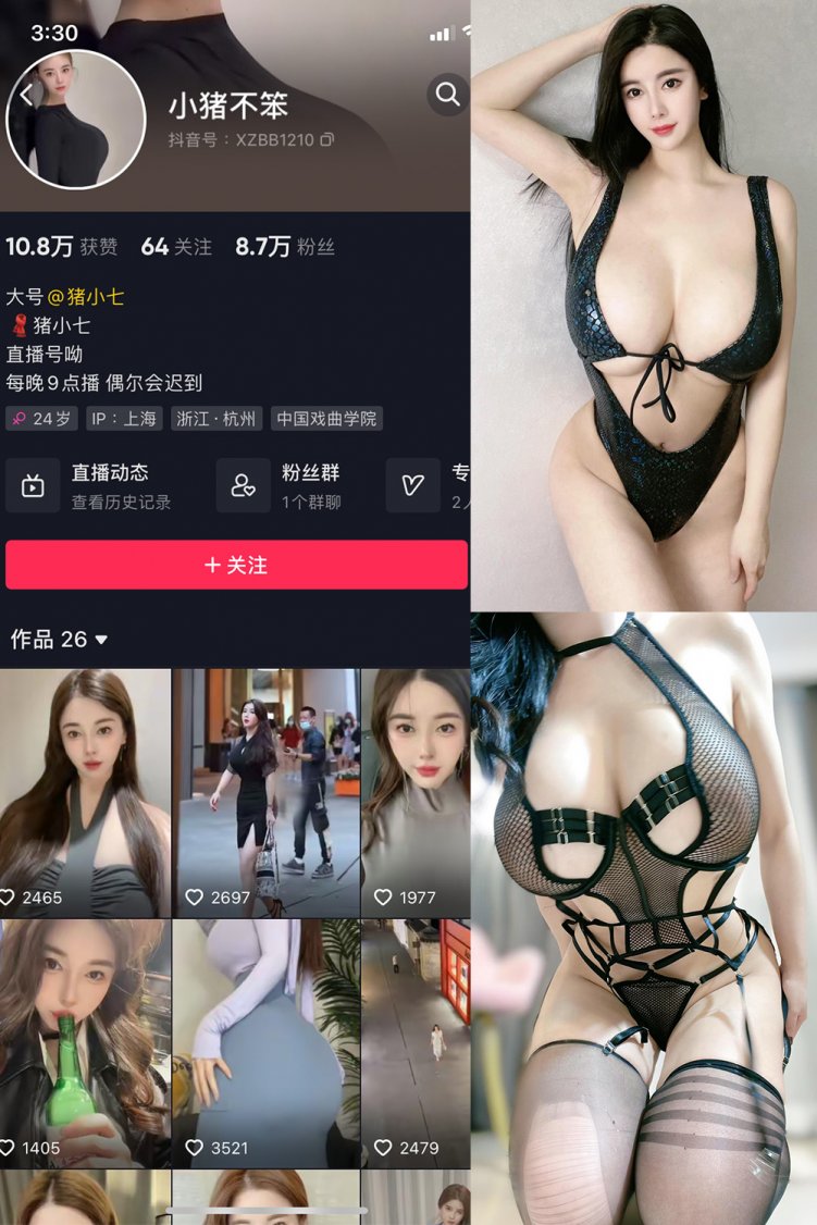 抖音 小猪不笨 微密圈 NO.005期 【93P13V】