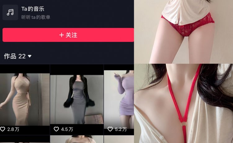 抖音 瀛猫 微密圈 NO.056期 【11P5V】
