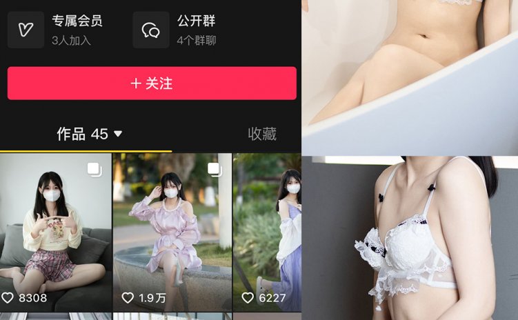 抖音 甜辣小北 微密圈 NO.004期 【69P2V】最新至：2024.12.15