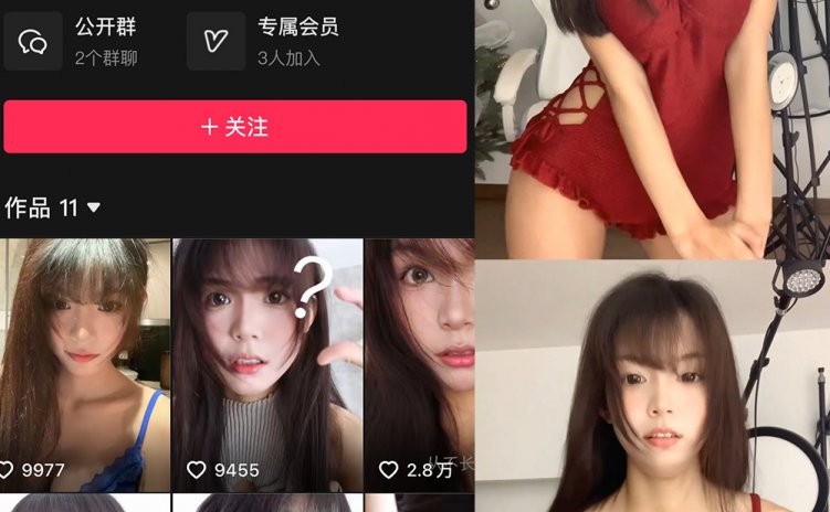 抖音 子嘉 微密圈 NO.001-2期 【2P3V】合集 最新至：2024.12.3
