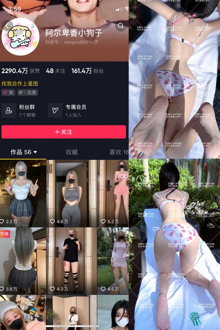 抖音 阿尔卑香小狗子 微密圈 NO.060期 【17P】最新至：